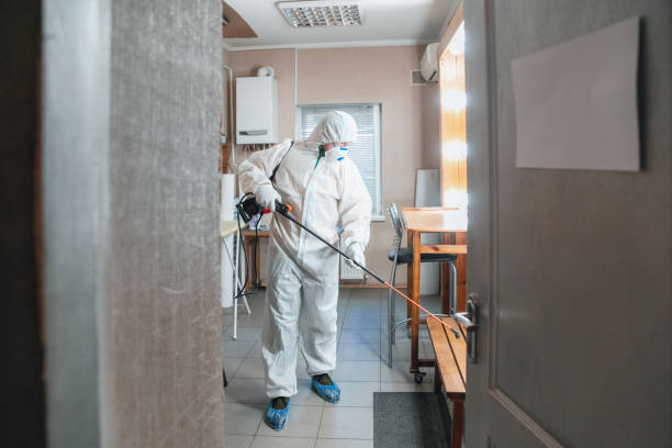 Biohazard Mold Removal in Vineyard Haven, MA