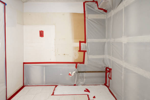 Best Emergency Mold Remediation  in Vineyard Haven, MA