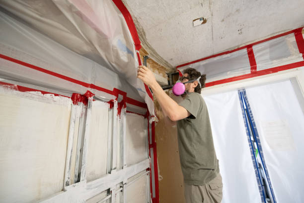 Best Emergency Mold Remediation  in Vineyard Haven, MA