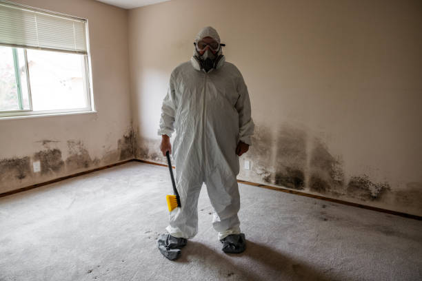 Best Commercial Mold Inspection  in Vineyard Haven, MA